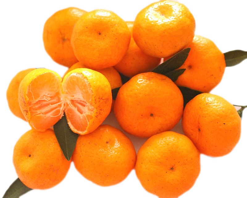 新鲜 香甜小橘子 500g